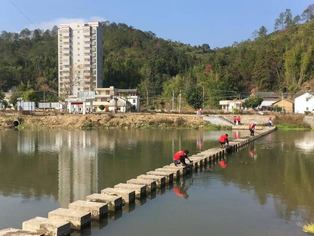 龙川县紫市镇两代表一委员带头开展保护母亲河美丽我家园志愿服务活动