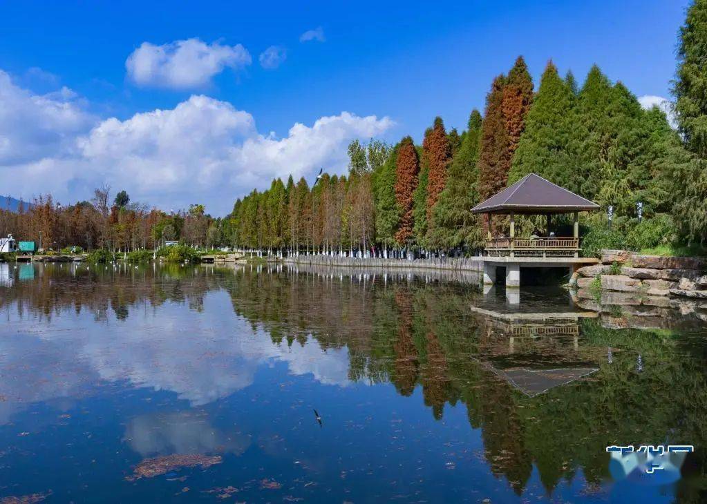昆明湿地 宛如画作_滇池_公园_湖滨