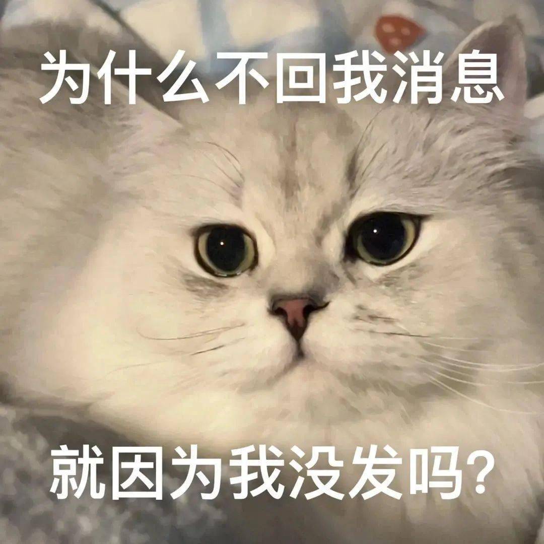 b3a126da453e4592be1a7a8207793f35.jpeg