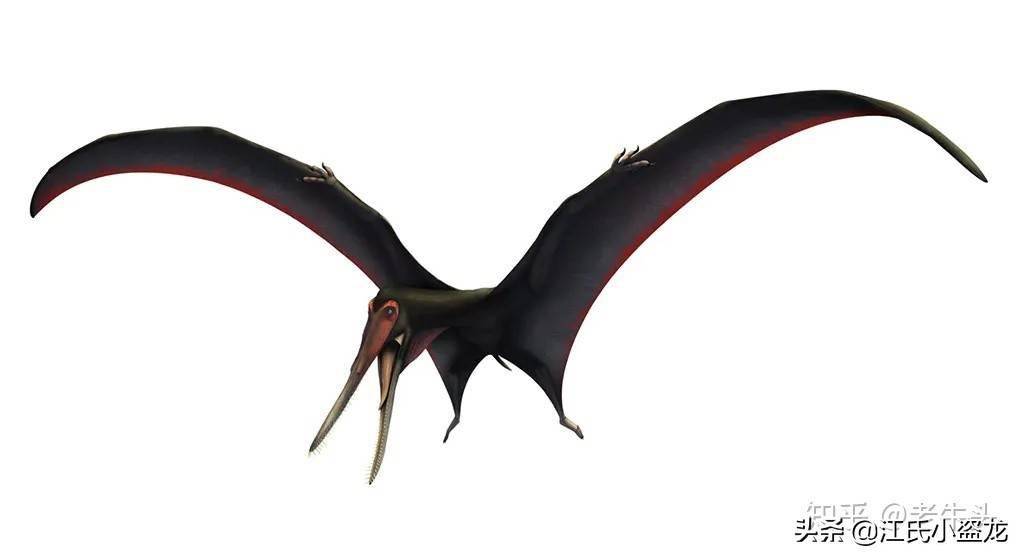 2021古生物学家到底命名了多少种翼龙