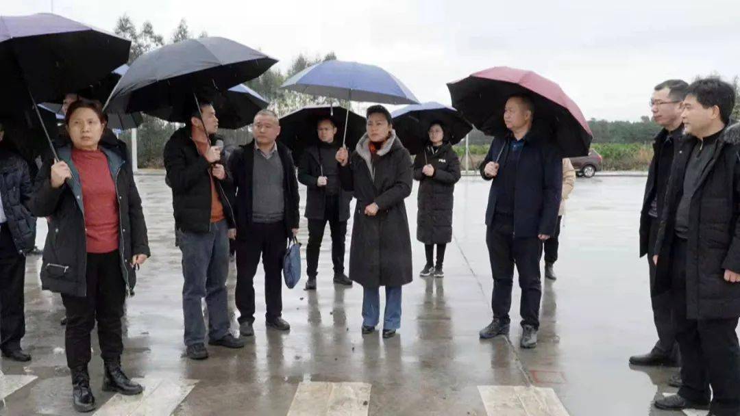 1月17日,县委书记黄卫东率队开展钟山县棚户区改造项目工作调研.