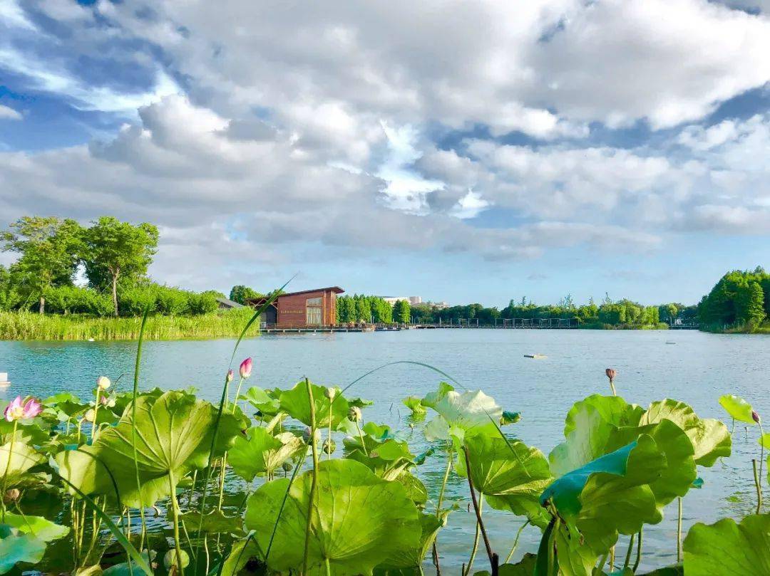春节不加价061099晚阳澄湖费尔蒙酒店含晚餐阳澄湖43万㎡亲子酒店