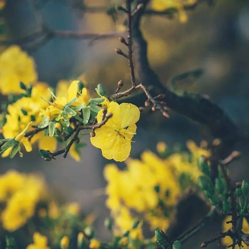 敬天,敬地,敬自己_敬畏_大地_心存