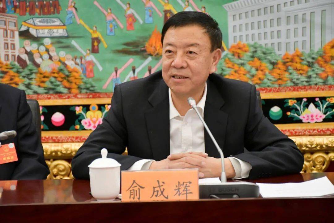 俞成辉参加甘南代表团审议时强调牢固树立绿色现代化主基调让五无甘南