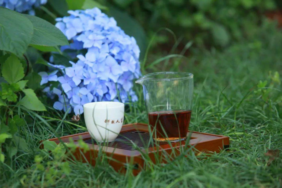 仰视人生茶可清心也可涤性