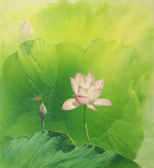 什么东西能让人赏心悦目 dea3b3ead07b4323b5a8a19a821bd24a.png