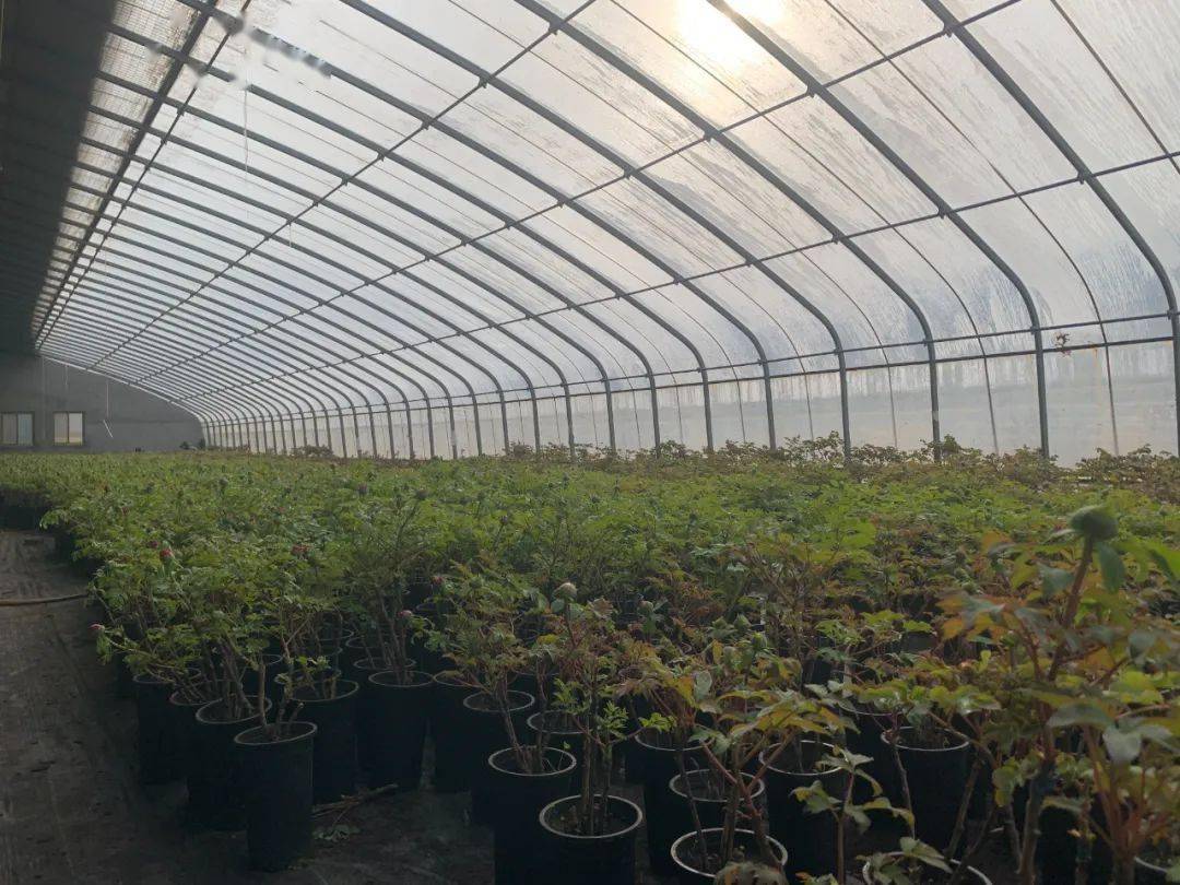 全国_订单_温室大棚