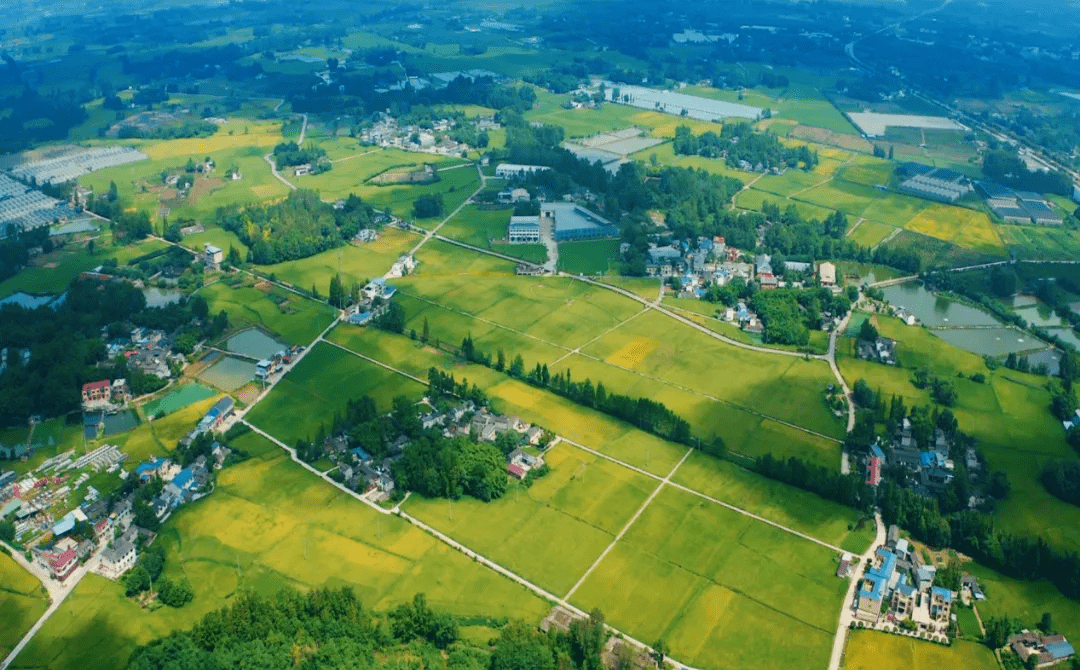 点赞新津上榜四川省乡村振兴战略先进区