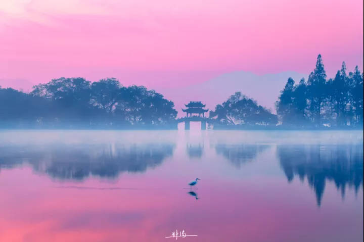 早晨的西湖什么样？杭州建筑师凌晨三四点拍下绝美“诗画”大片