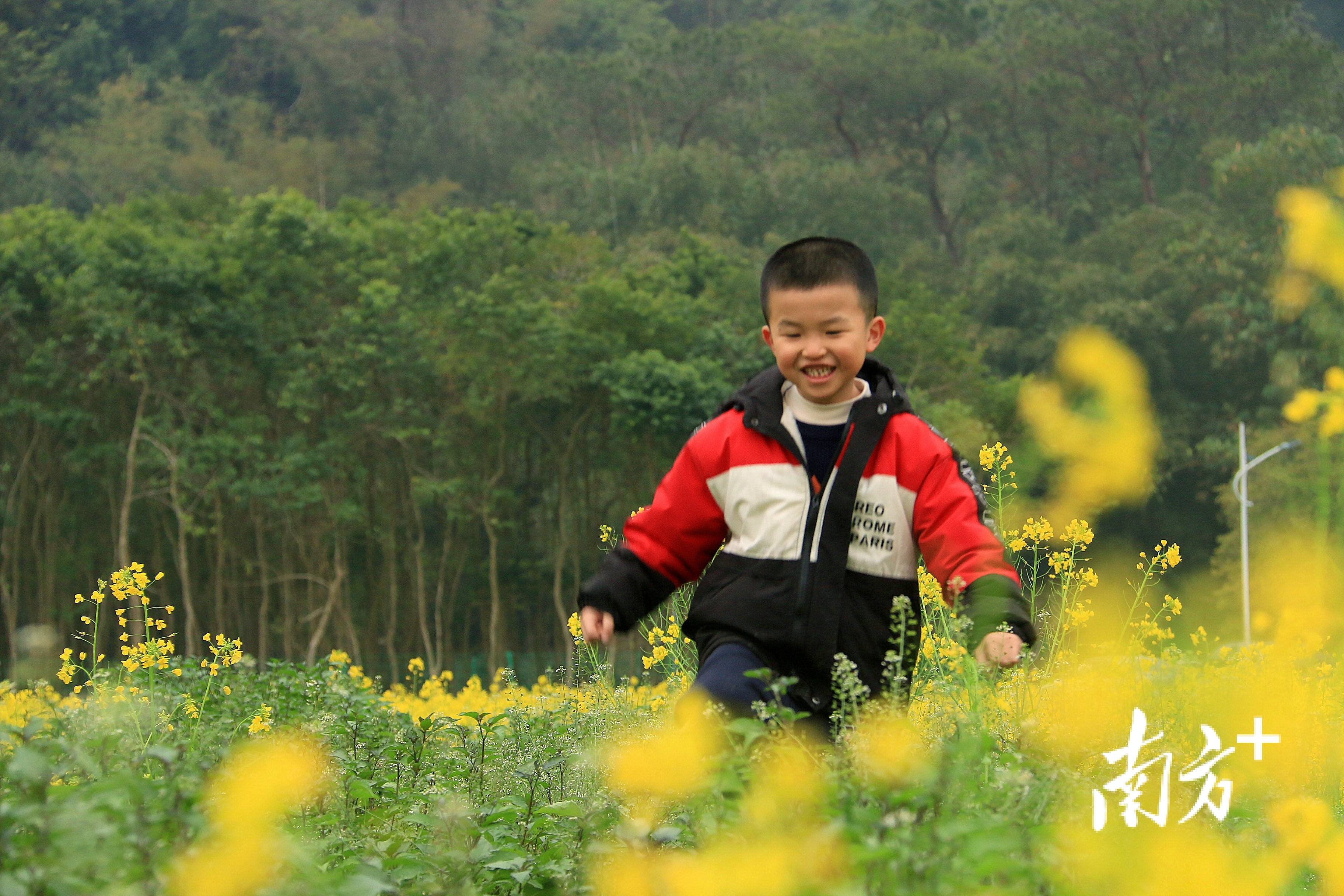 视觉 _ 在陕西汉中万亩油菜花海中，感受春的气息，与春天一起律动
