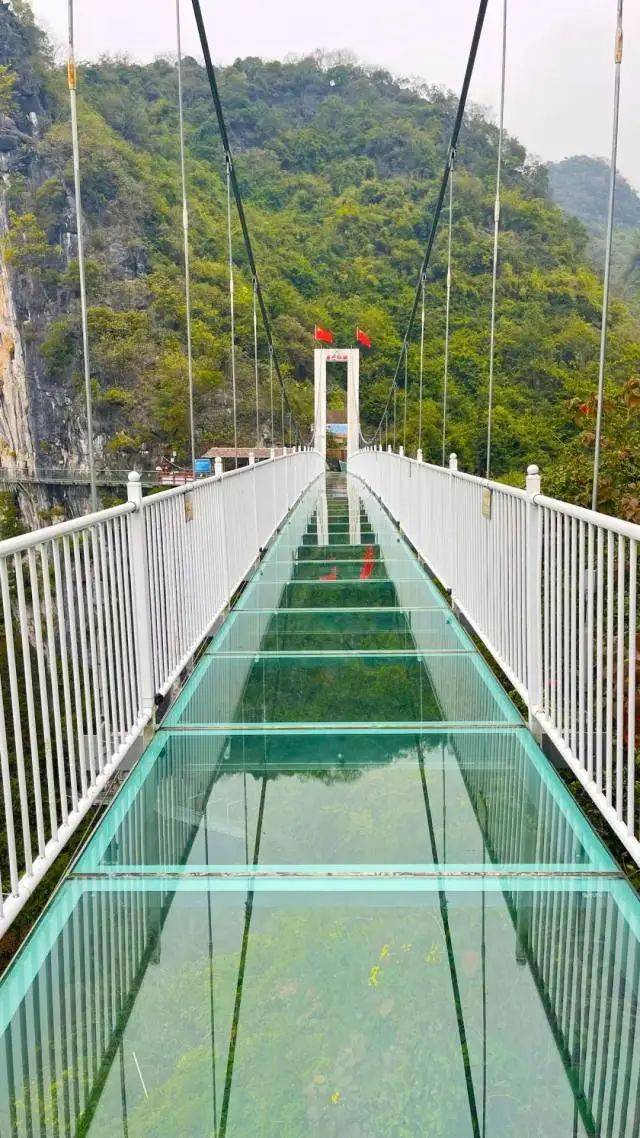 特价寻蜜石门融安石门仙湖挑战高空玻璃桥金桔园品尝采摘一日游