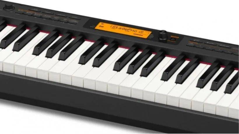 Casio Music Ƴ CDP-S360  CDP-S110 