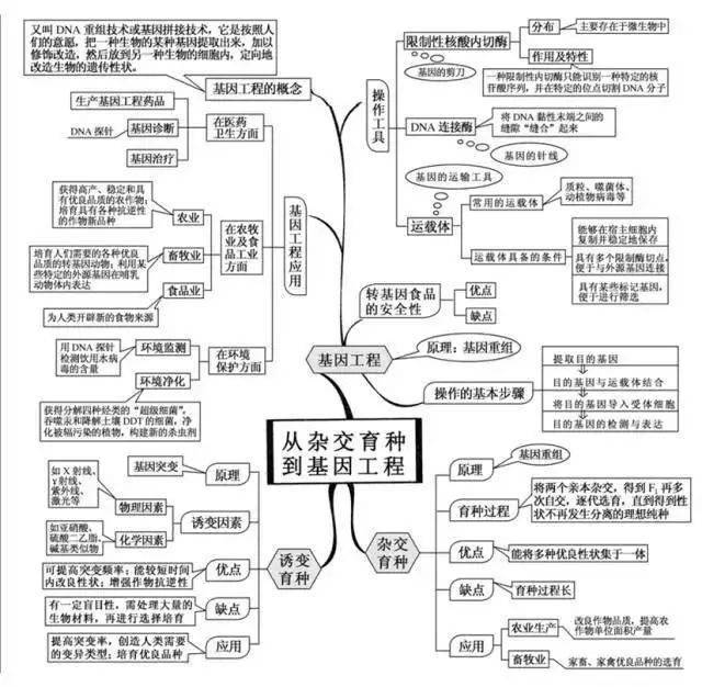 高中|高中九大学科思维导图最全汇总，高中三年都适用！（收藏）