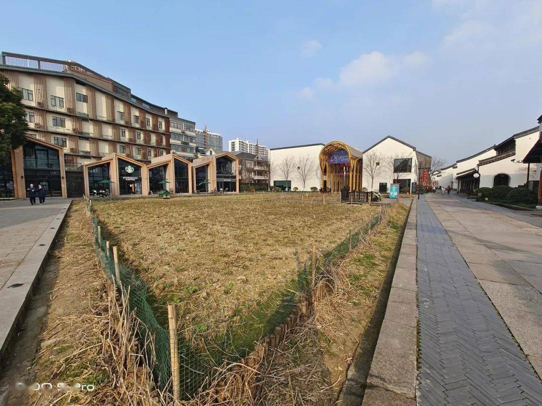 四款骁龙8系列手机拍照横评！各有各的离谱。。。