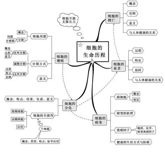高中|高中九大学科思维导图最全汇总，高中三年都适用！（收藏）