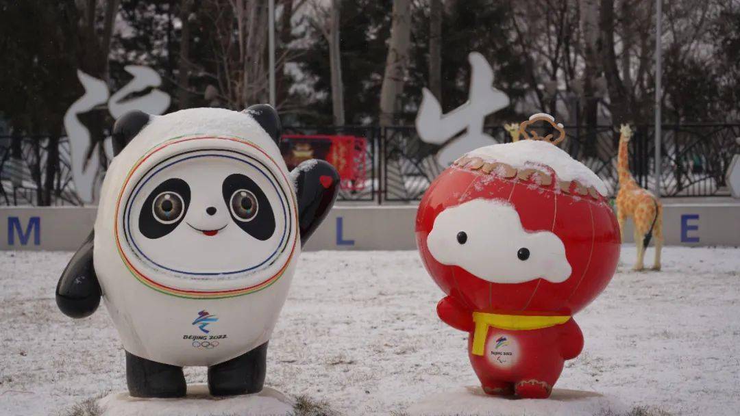 像蘆花,像鵝毛雪舞漫空,飄飄灑灑(戳視頻)全民喜迎冬奧會瑞雪紛飛兆