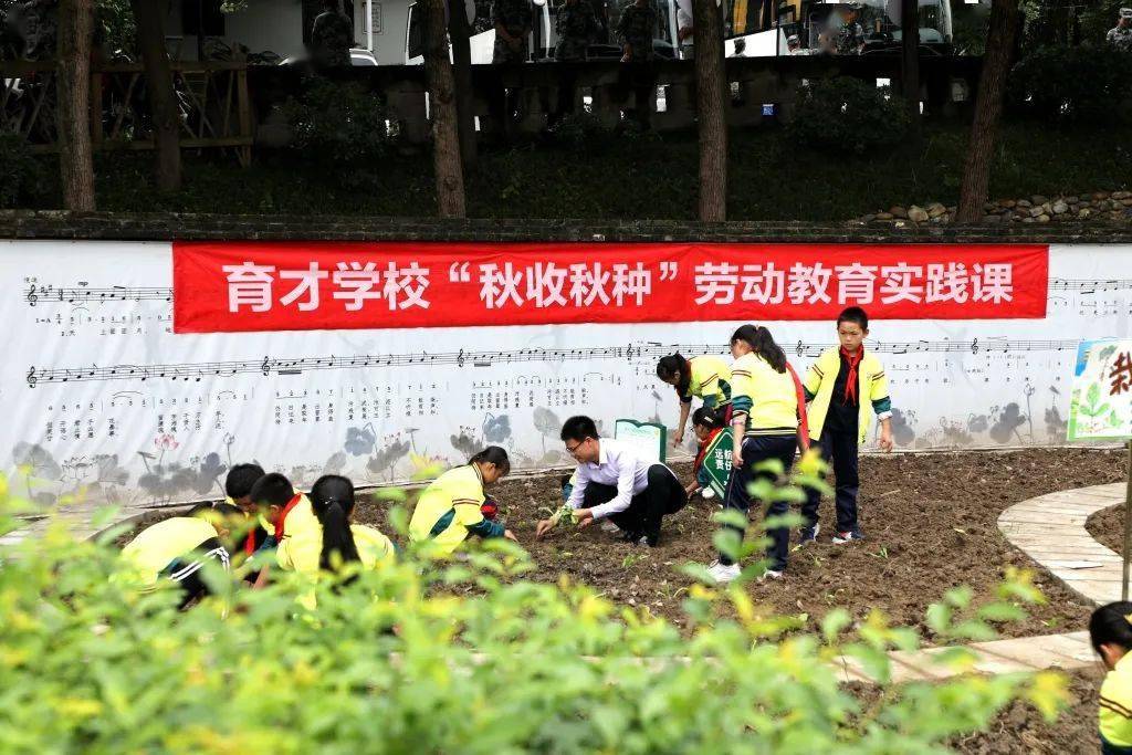 破题"双减",重庆这所学校在陶行知教育思想中找寻答案_育才_合川_先生