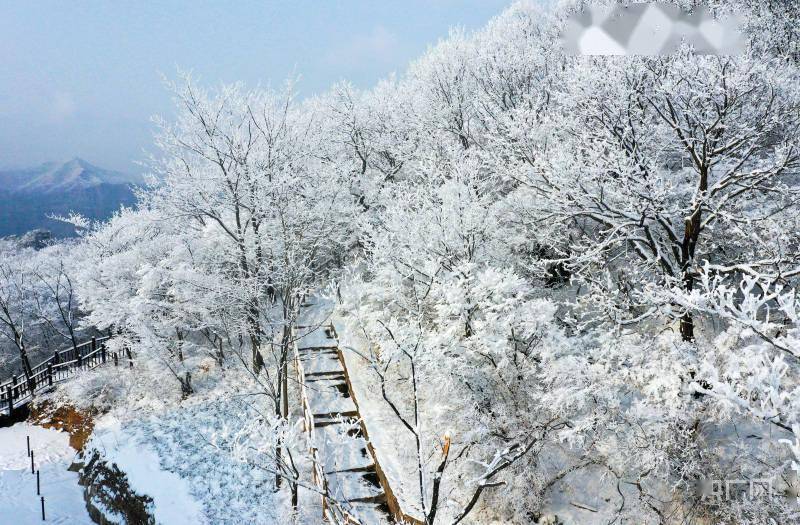 云台山|大寒时节迎降雪！河南云台山雪景雾凇美若仙境