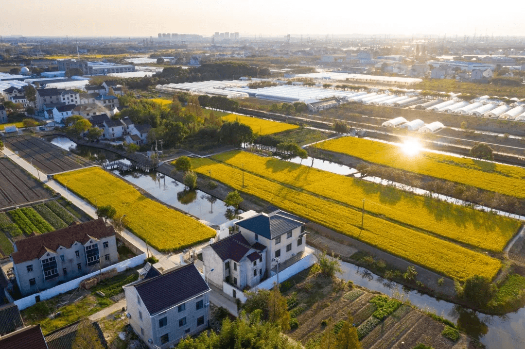 浦东有7个村获评2021年上海市美丽乡村示范村出炉啦