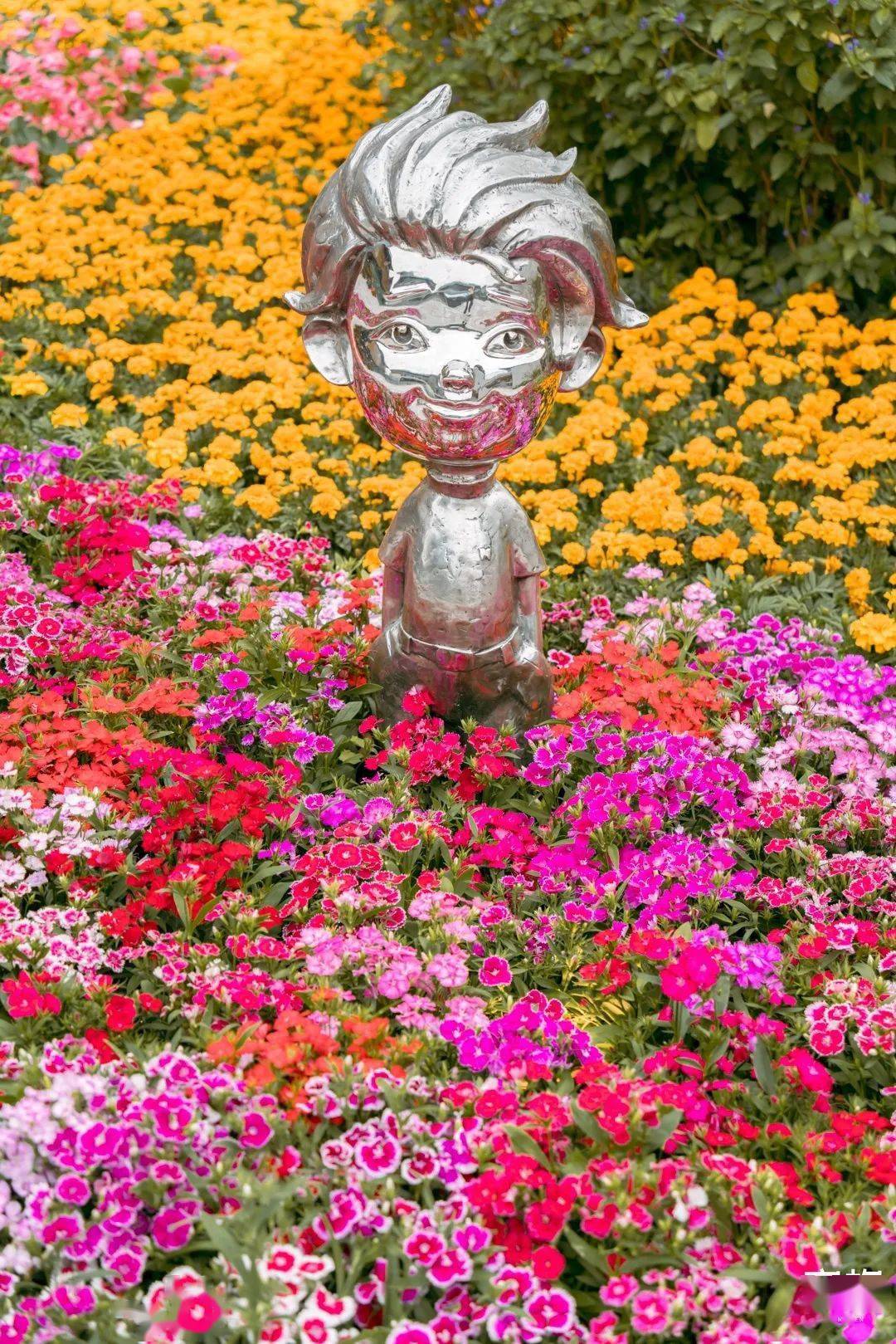 任意花入口 75870ddf90da4bef8512b02cd861ad23.jpeg