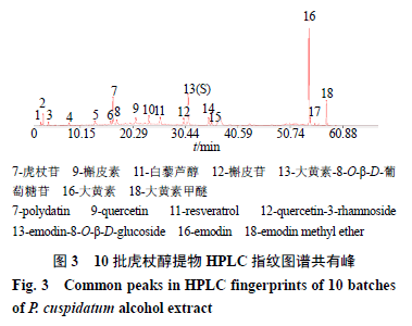 kontakt如何导入曲谱_ppt如何导入源文件(4)