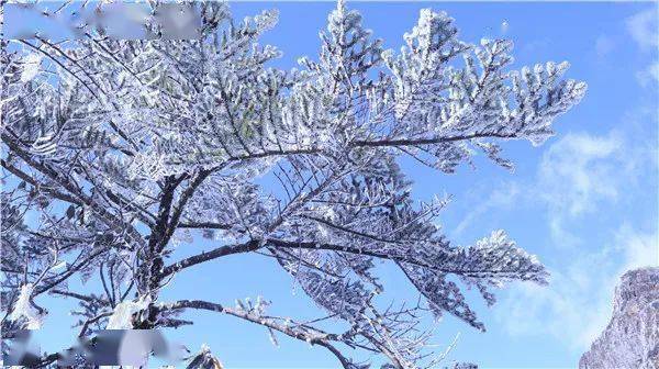 栈道|人间仙境！昆明这里下雪啦！周末约看雪吗？