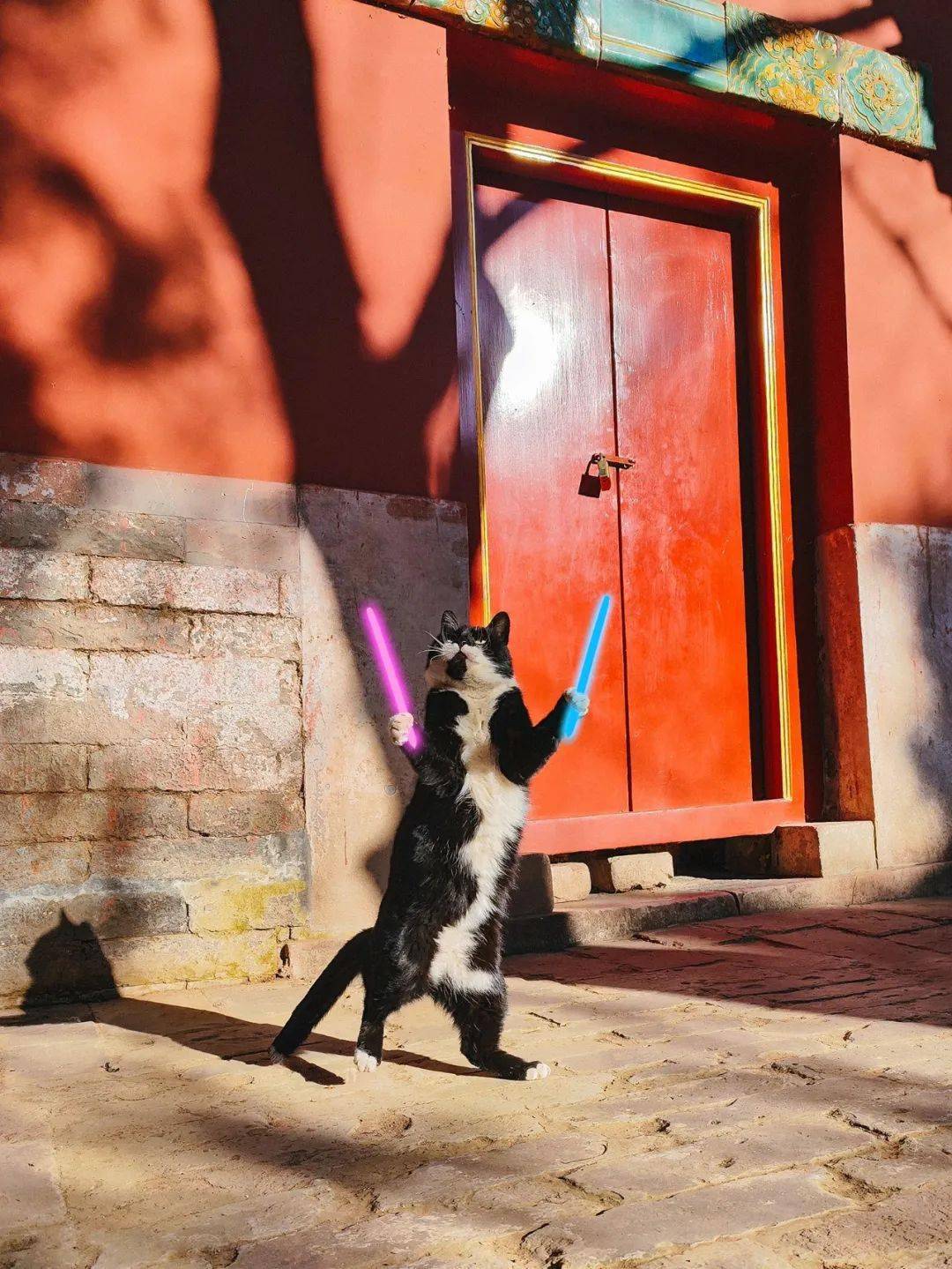 贺岁|顶流明星贺岁,送你全年表情包