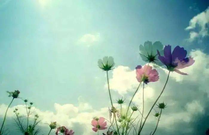 什么是人生幸福 1698ee95437c4f6ba2ec84ea331acab1.jpeg