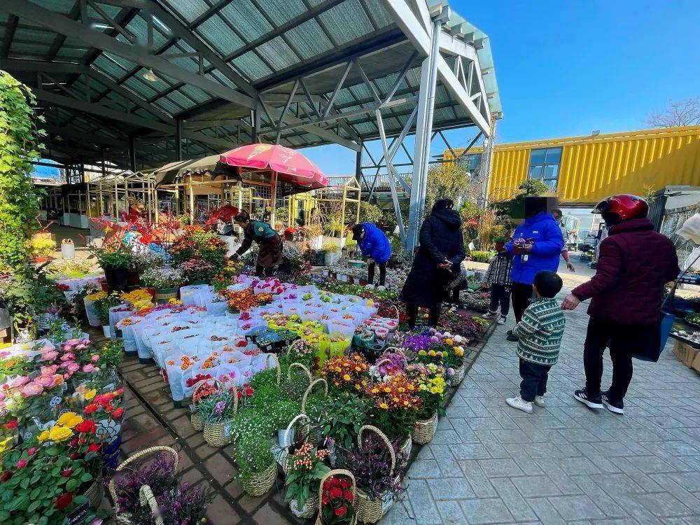 凤起花鸟市场图片