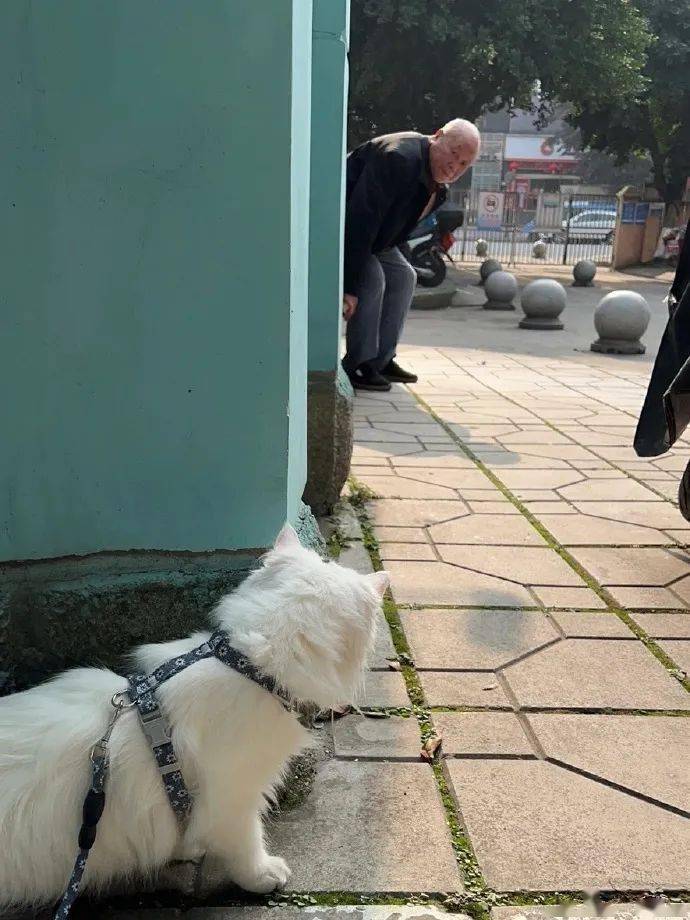 生活|【冷兔趣闻】总有几个瞬间让你觉得生活温柔又可爱