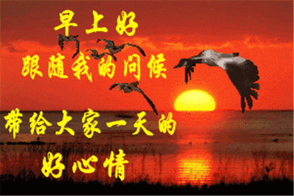 600_400gif 动态图 动图