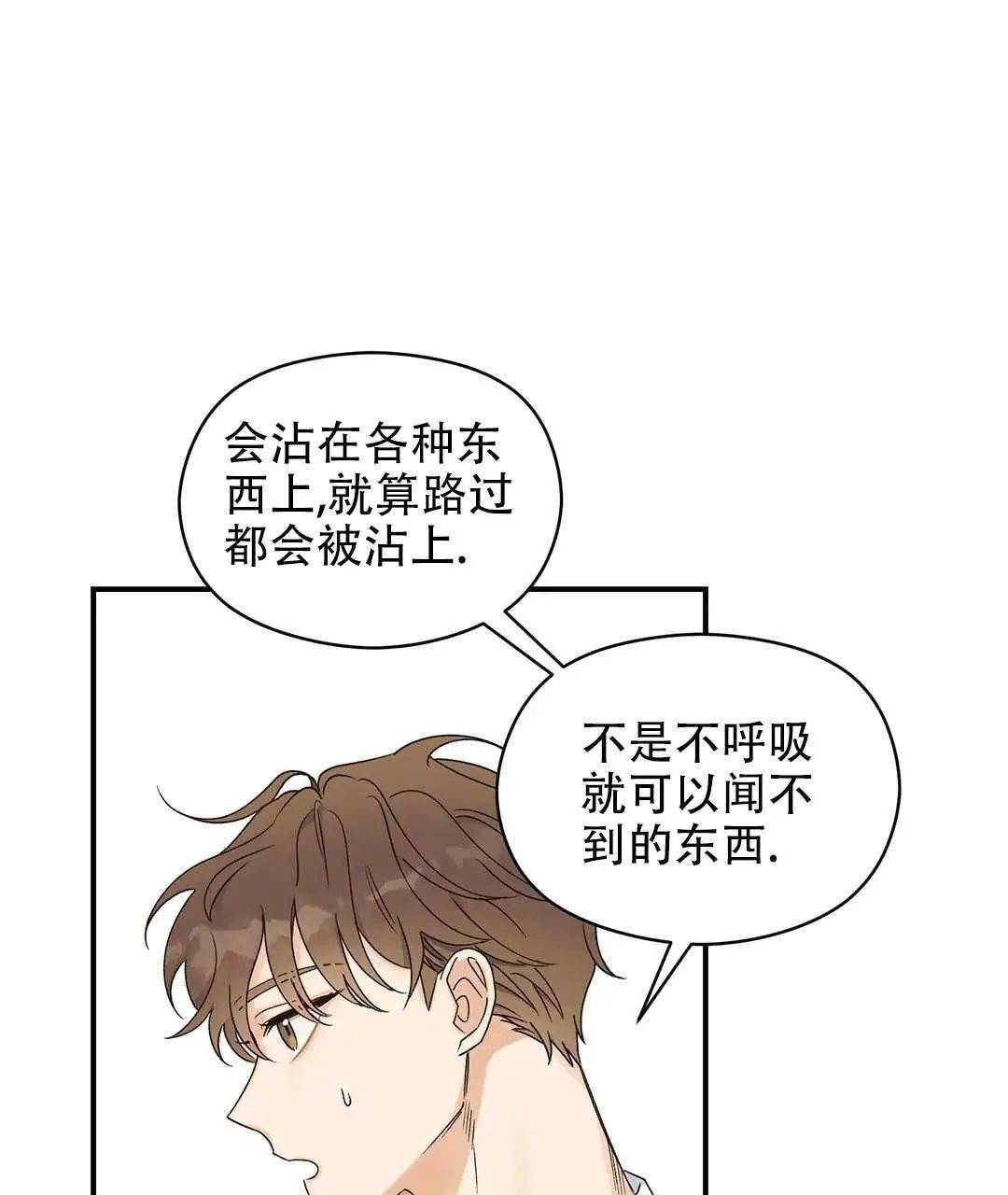 优质alpha遇上发狂的omega浓情信息素