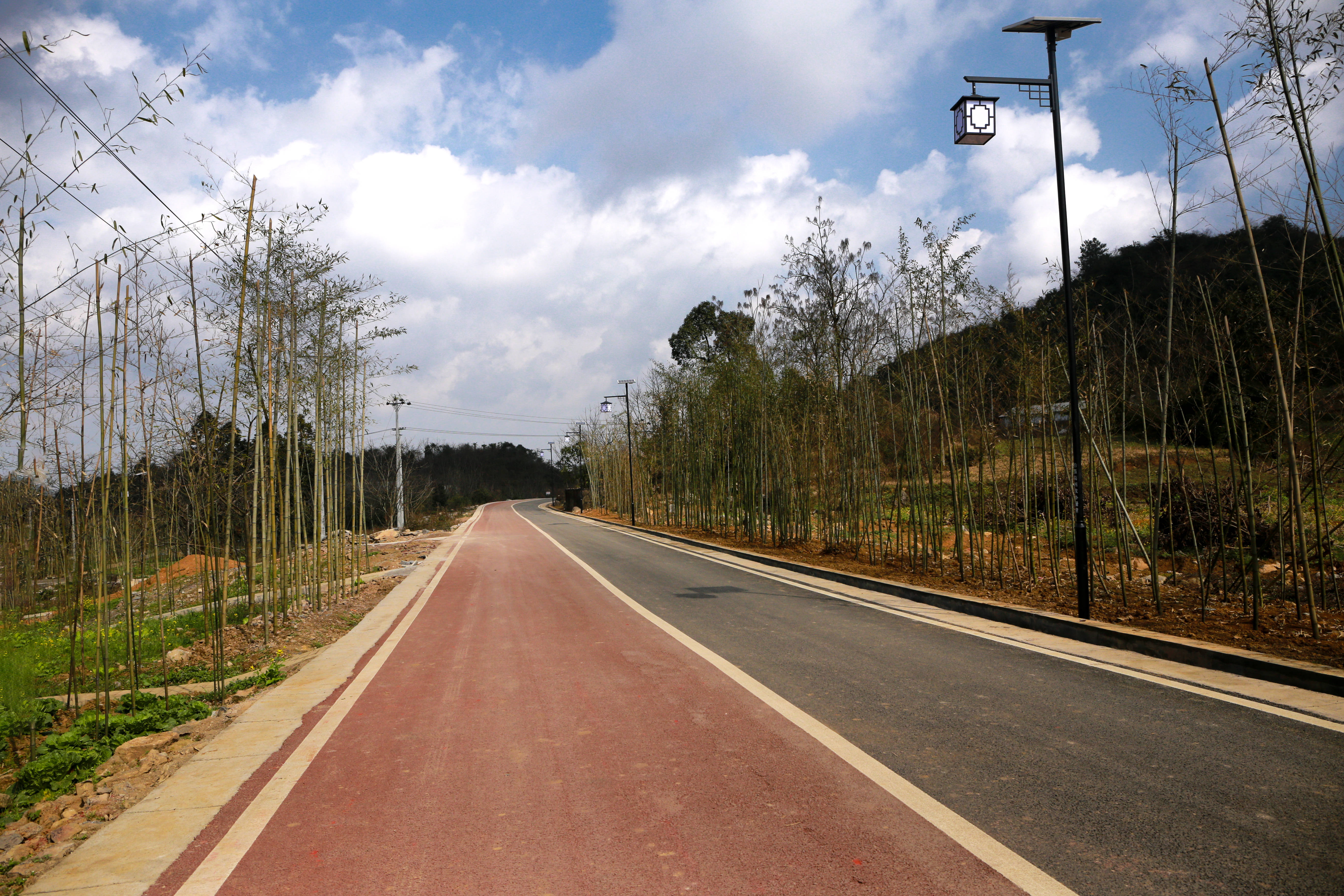 (灑金村打柴山組到納花地組公路)