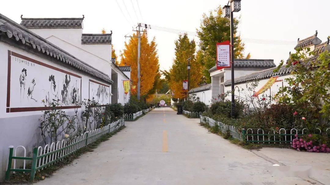 政府工作报告系列解读2022年砀山将建成高标准农田10万亩完成厕所改造