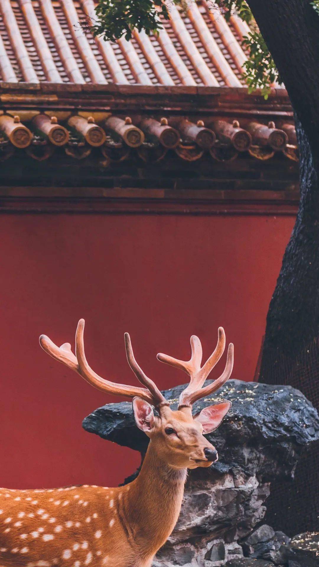 �������ޣ���ֻС�һ����ܰ�ɰ�����ʥ�������ӻʼҵ����� ...