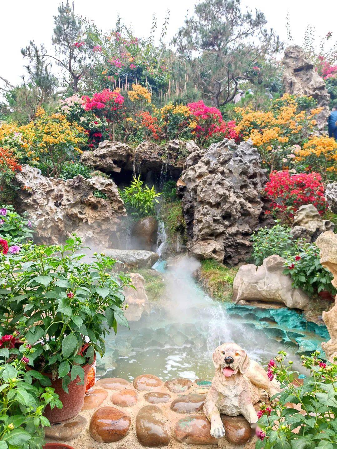 热烈祝贺茂名中旅高州凤凰园信宜钱排双合村首发团出团高州岭南凤凰园