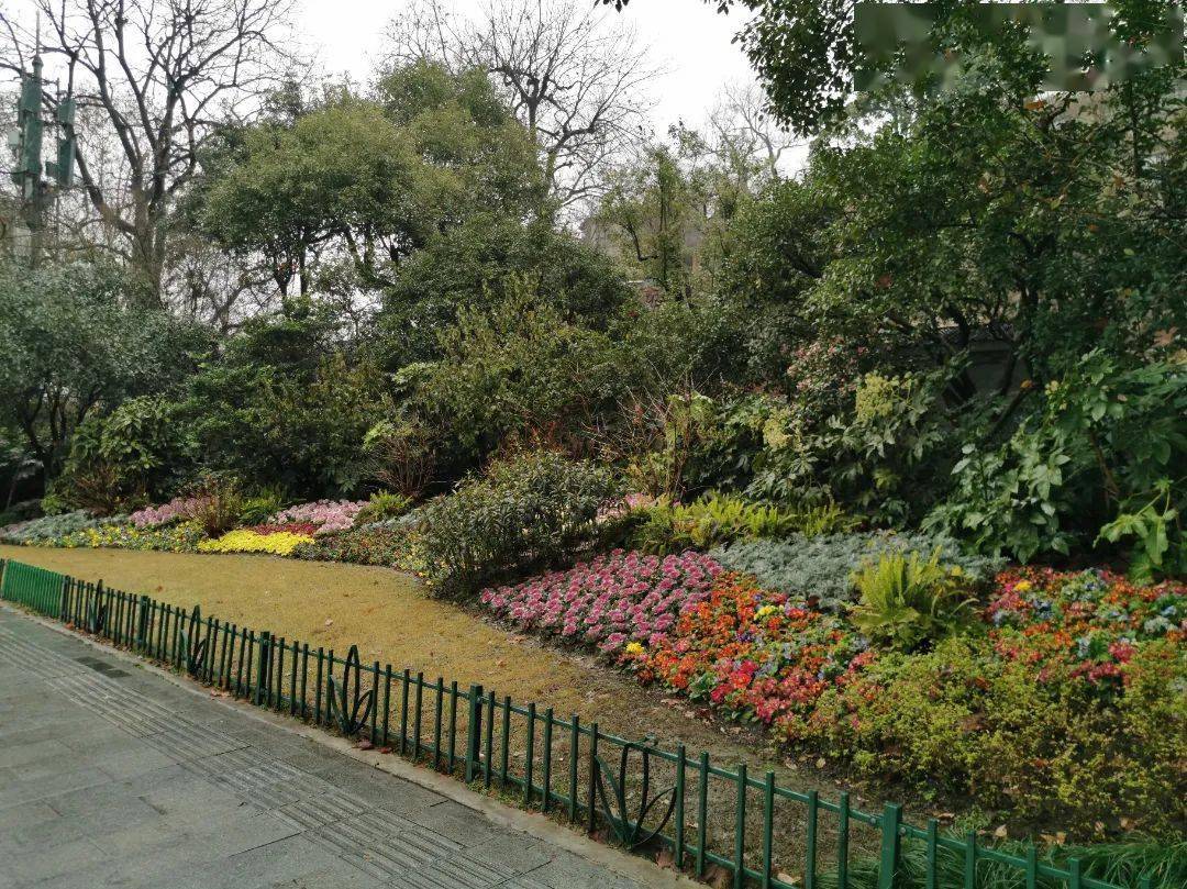 杭州植物園△南門△北門△科研中心入口△盆栽園△甦醒花壇△頭山門