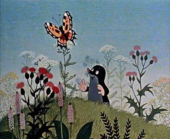 藍色|《鼴鼠的故事》| 影片里的植物世界