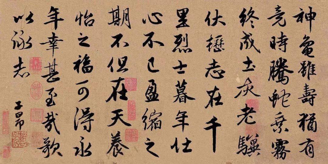 书法赵孟頫行书集字欣赏龟虽寿