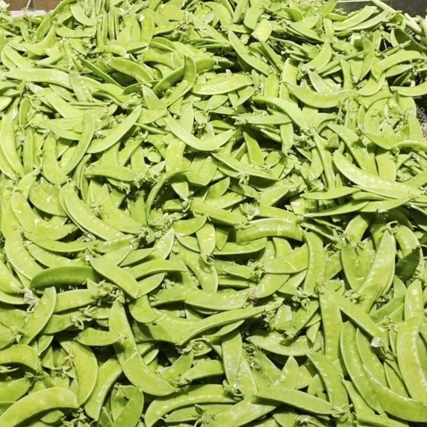 【万德隆推荐】产地直采珍宝豆,脆嫩可口,百吃不腻!_山药_颜色_蒜末