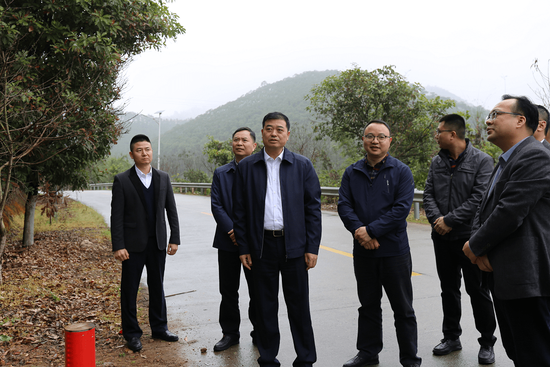 陈哲江开展巡河,巡林,要求压实责任持续抓好河长制