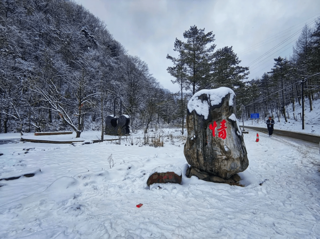 疫情雪后小城，每一帧都美成屏保!