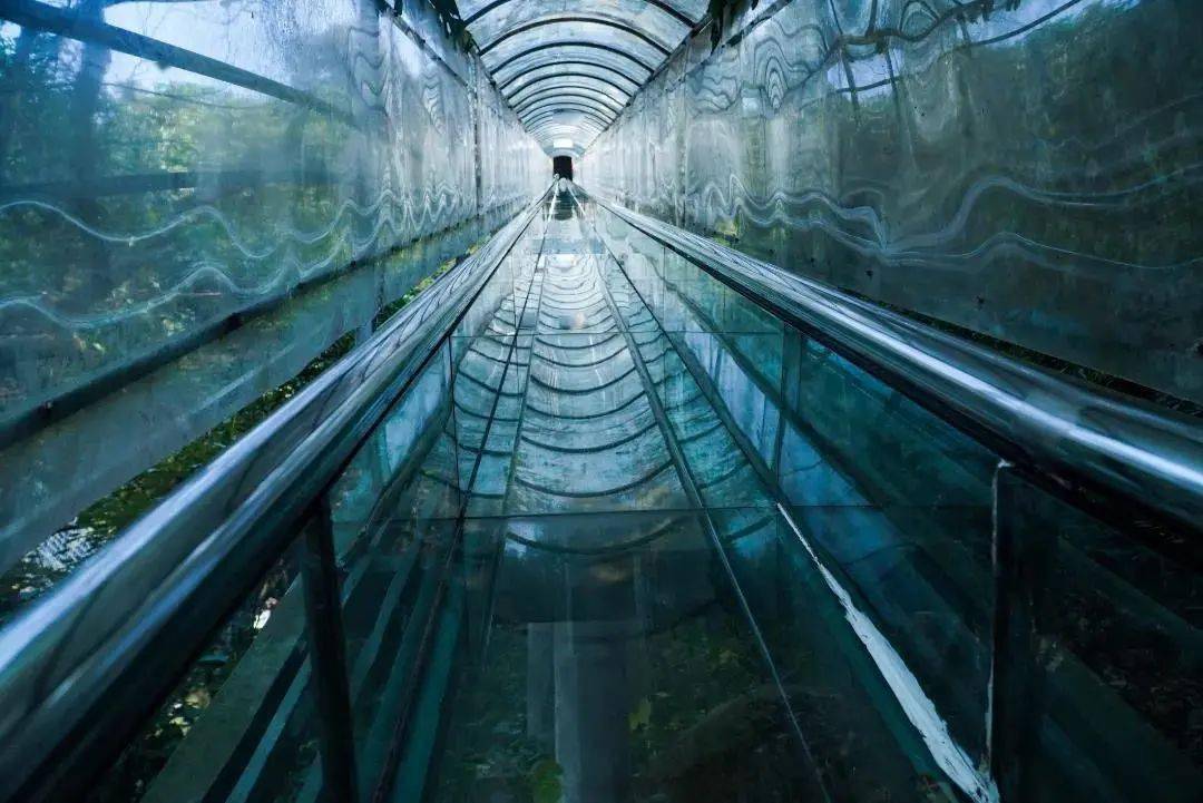 南丹山赏樱花玩国内三大玻璃桥住私家泡池度假村春节就这样玩法