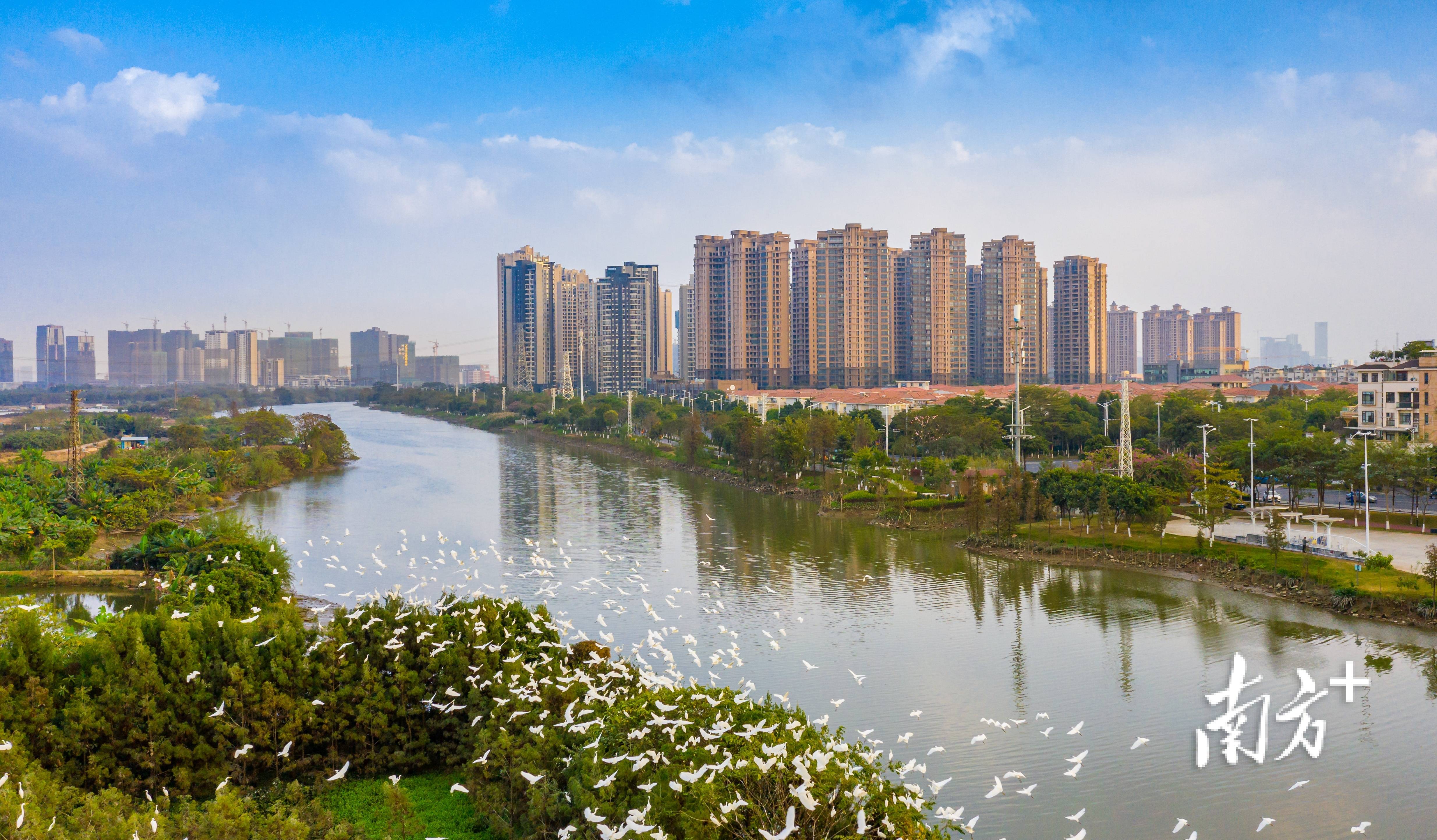 深讀|水美,城秀,產優,人旺,順德大良詮釋都會核心新魅力_城市_建設