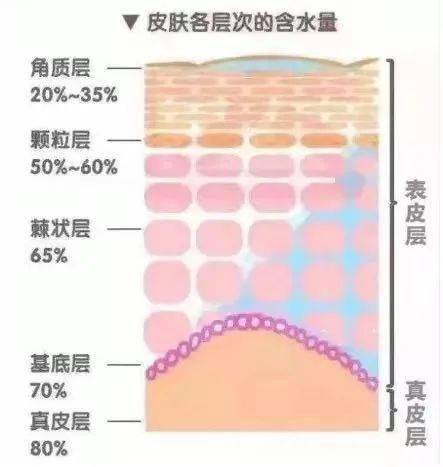芽芽这8个护肤套路，我早就想骂了！！