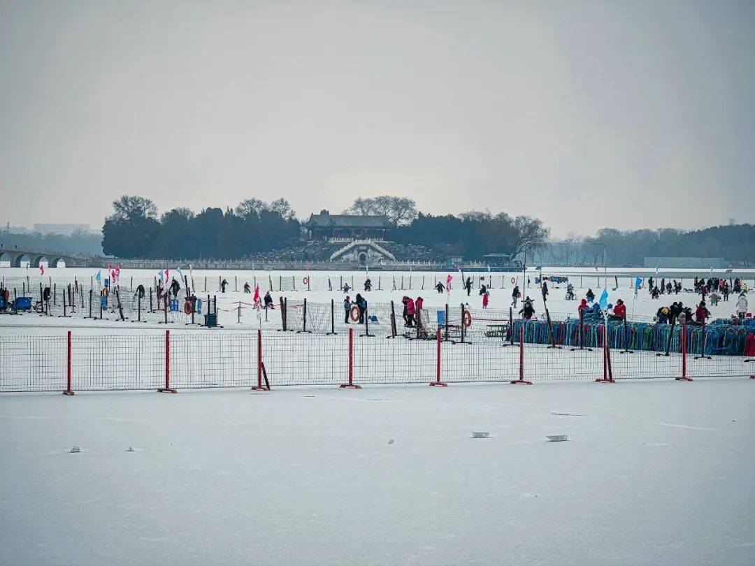 牛铭乾|错过这波，只能明年再见！