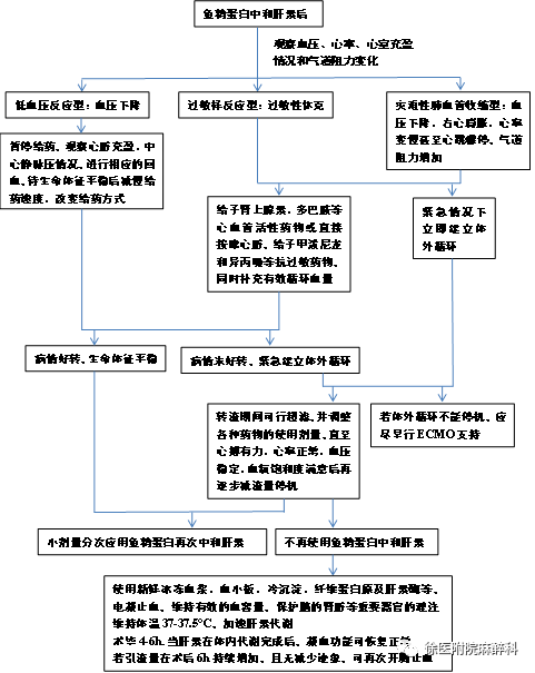 病例讨论丨冠脉搭桥术中鱼精蛋白致过敏性休克一例