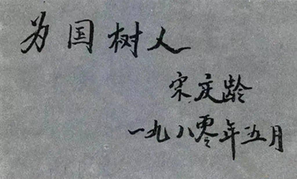 自己没有子女,却把最宝贵的给儿童!她是举世闻名的伟大女性_孙中山_宋