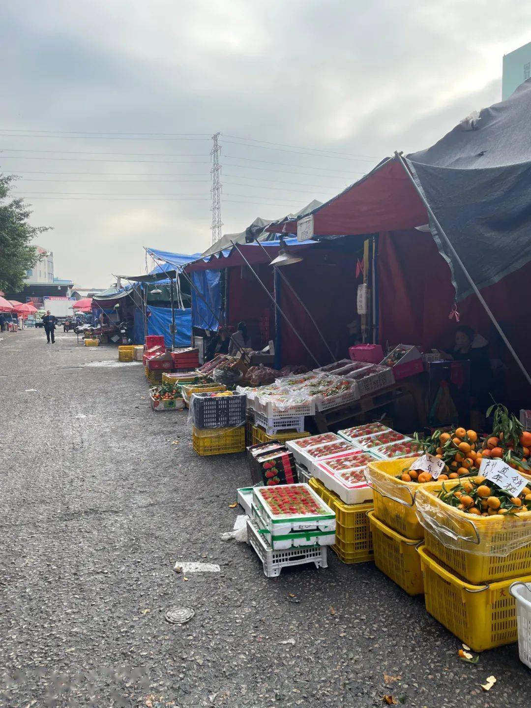 广东有几个大型批发市场在哪里