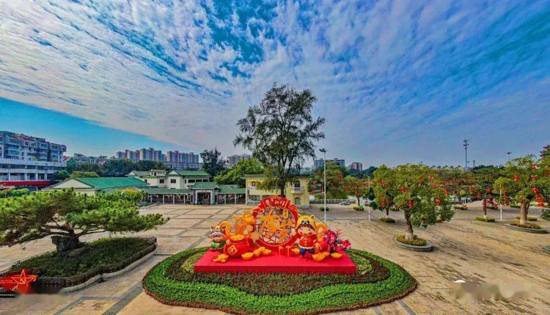 启明里广场上,巨大的东艺宫灯增添了喜庆;江门东站广场,漂亮的年花